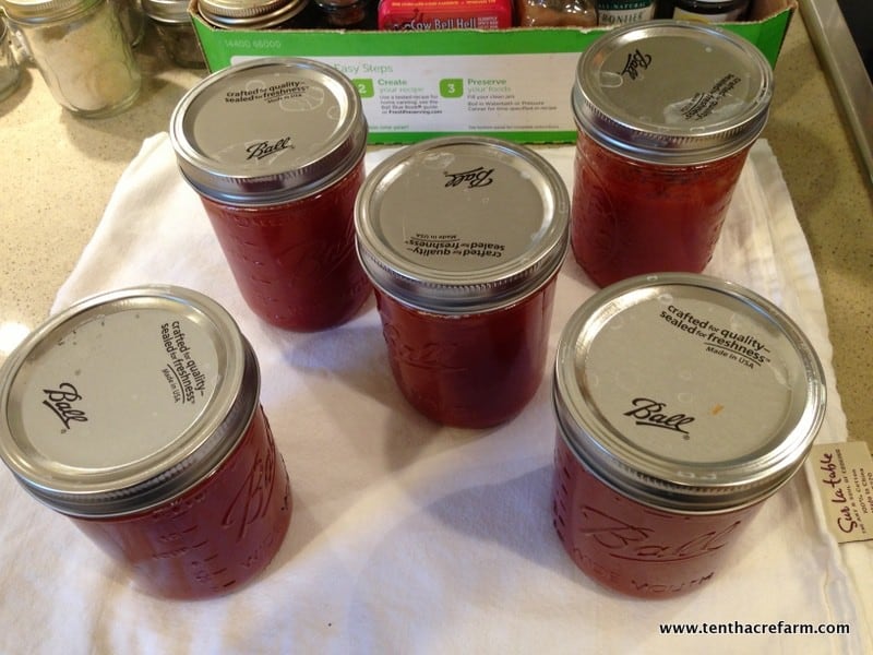 6 Reasons To Buy A Pressure Canner Tenth Acre Farm