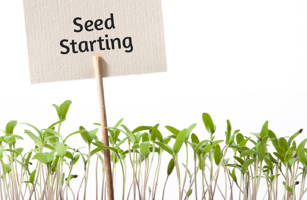 Seed Starting