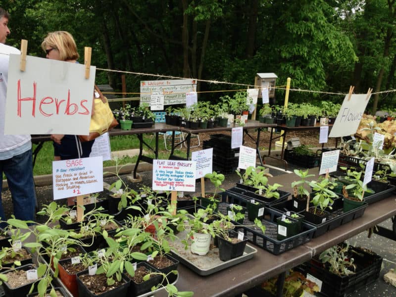 community garden spring plant sale