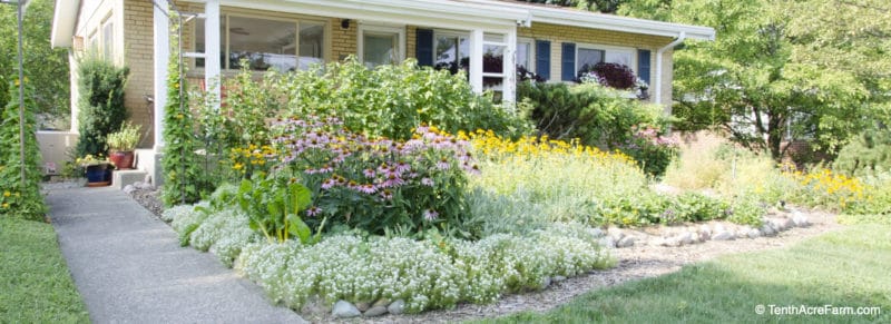 Tenth Acre Farm with Amy Stross