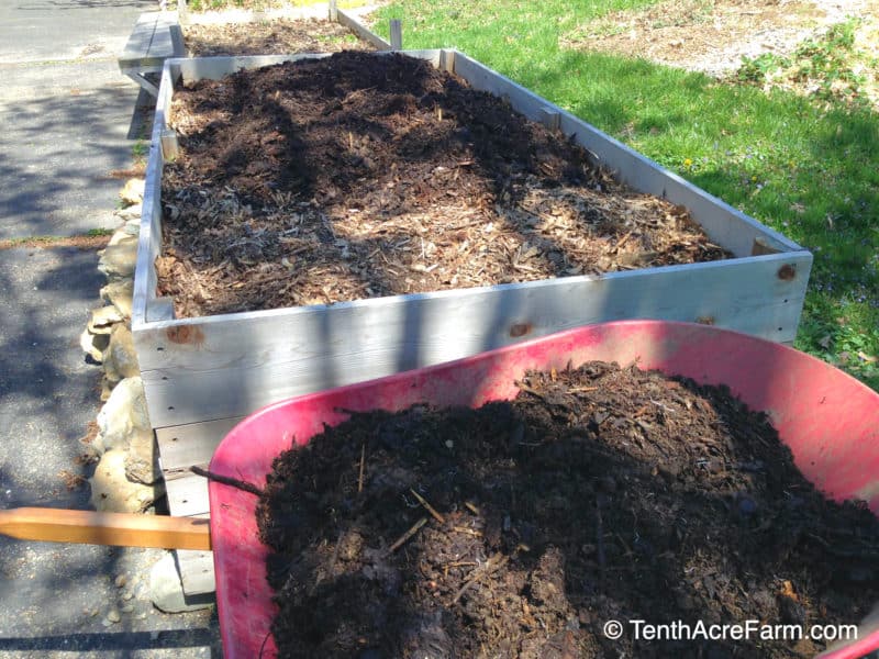 Topping of the raised beds on my driveway with homemade compost