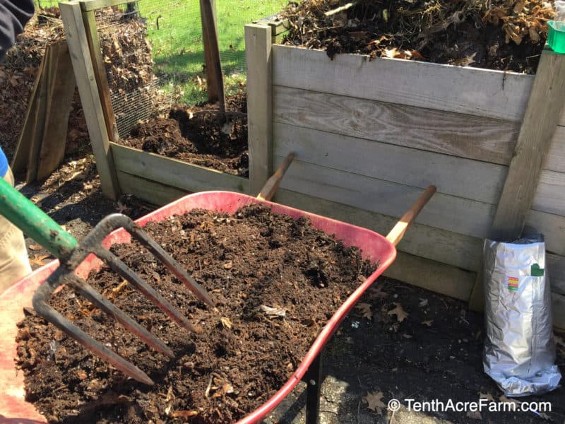 Using a digging fork to add compost to the garden.