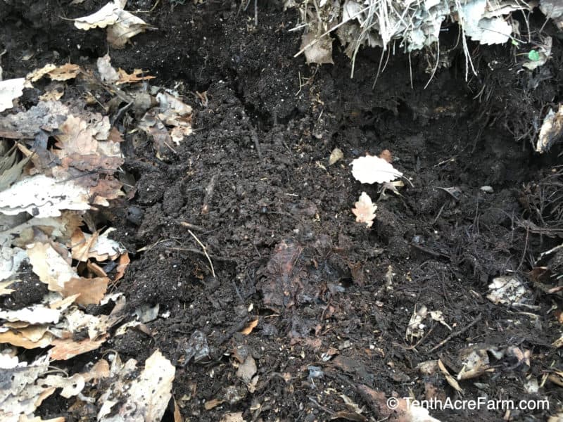 Leaves composting into leaf mold, a rich garden amendment.