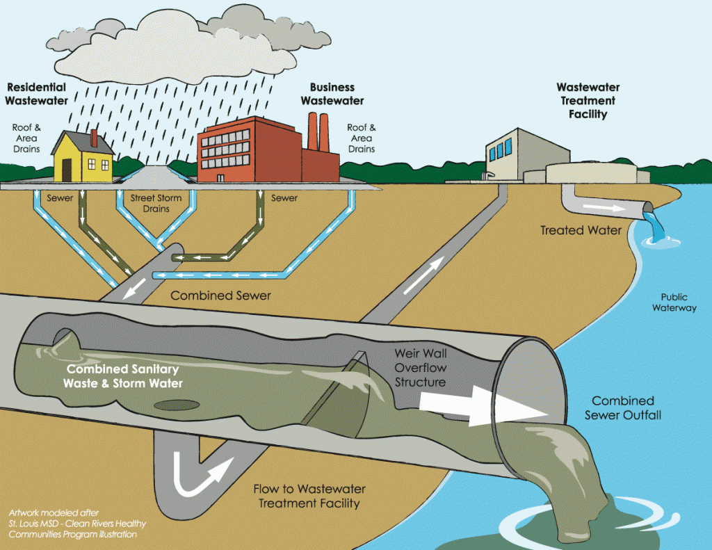 Swales are an important tool for irrigating the garden, mitigating stormwater runoff, and reducing erosion. In this post, learn what a swale is and why you might need one in your yard.