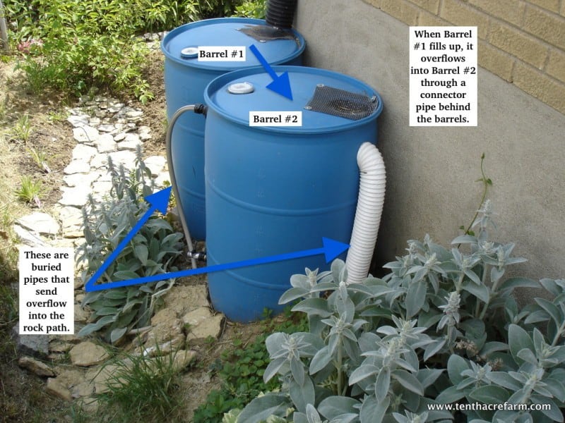 Catch More Water for Irrigation by Connecting Rain Barrels to a Rain