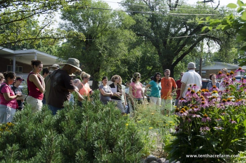 The Permaculture Yard Class is meeting in my front yard!