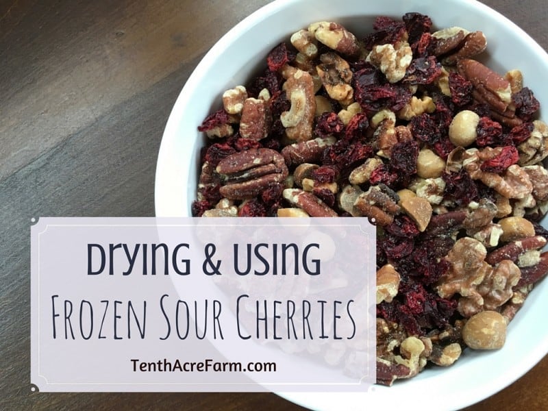 Drying and Using Frozen Sour Cherries Tenth Acre Farm