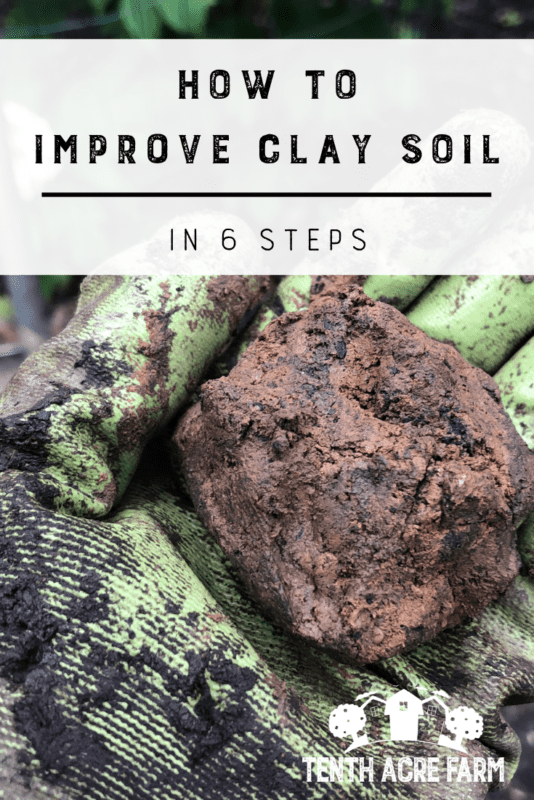 How to Improve Clay Soil in 6 Steps Tenth Acre Farm