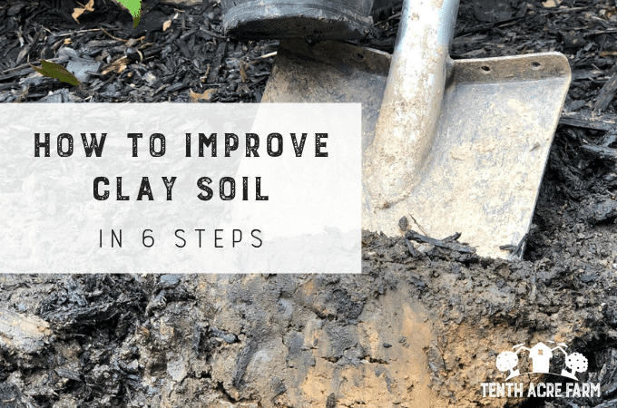 How to Improve Clay Soil in 6 Steps: Heavy clay soil can be frustrating. Follow this 6-step plan to improve soil so you can garden with ease and grow crops that thrive.