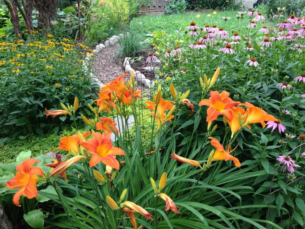 Pathway framed by blocks of color