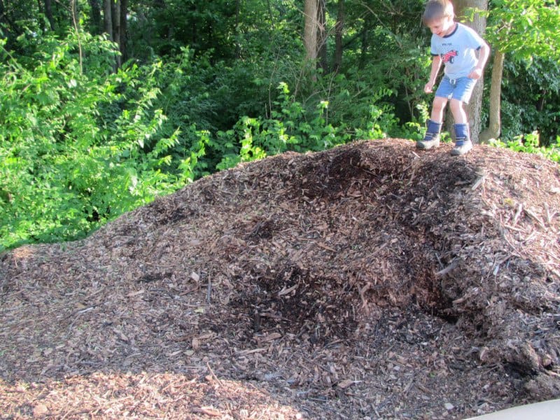 How to Kill Poison Ivy in 5 Steps (A Permaculture Approach): Here's how to get rid of poison ivy with an eco-friendly, permaculture-based, 5-step process. #permaculture #gardening A little boy playfully jumps from the top of a pile of wood chips.