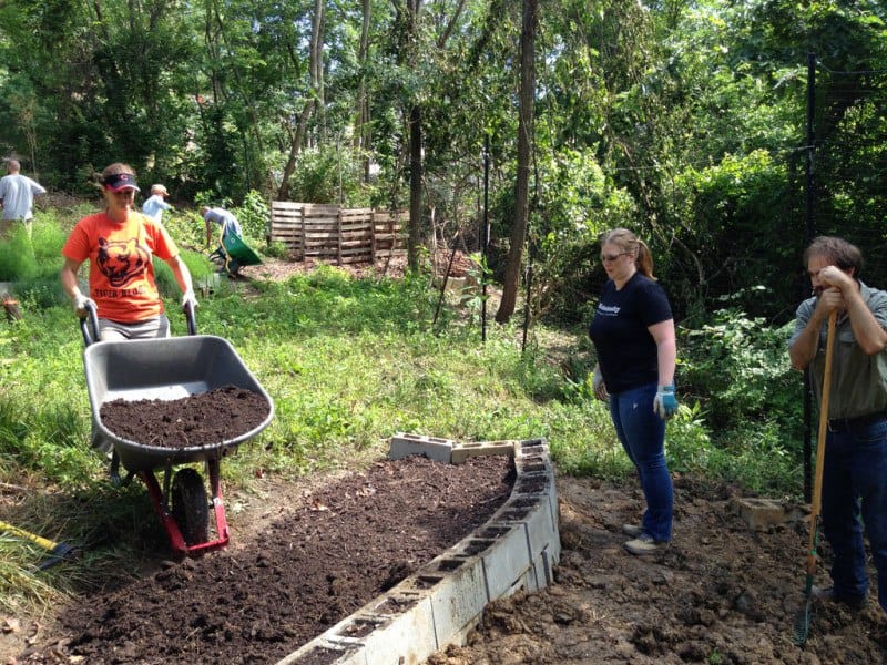 How to Kill Poison Ivy in 5 Steps (A Permaculture Approach): Here's how to get rid of poison ivy with an eco-friendly, permaculture-based, 5-step process. #permaculture #gardening A community garden is a place for joyful learning and connection.