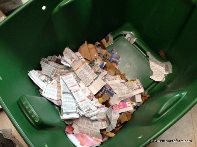 Our first worm bin was a gift, and we fussed over our new collection of worms like new parents. Unfortunately, our inexperience led to some problems. Here's a look at the new bin, the mistakes we made, and the problems that ensued.