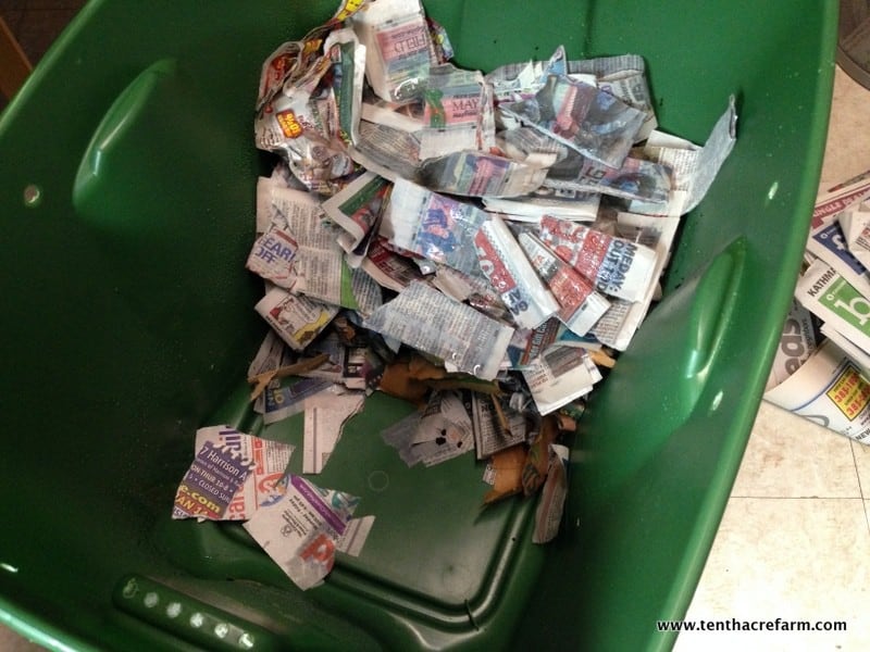 Our first worm bin was a gift, and we fussed over our new collection of worms like new parents. Unfortunately, our inexperience led to some problems. Here's a look at the new bin, the mistakes we made, and the problems that ensued.