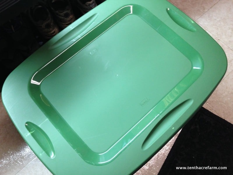 Our first worm bin was a gift, and we fussed over our new collection of worms like new parents. Unfortunately, our inexperience led to some problems. Here's a look at the new bin, the mistakes we made, and the problems that ensued.