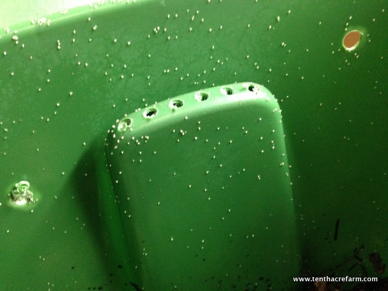 Our first worm bin was a gift, and we fussed over our new collection of worms like new parents. Unfortunately, our inexperience led to some problems. Here's a look at the new bin, the mistakes we made, and the problems that ensued.