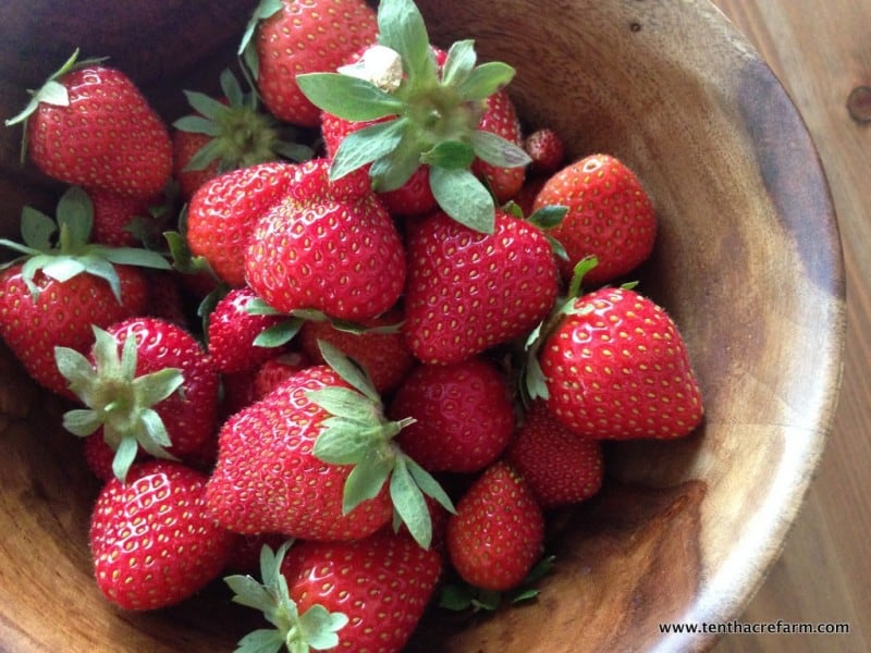 Bowl of strawberries