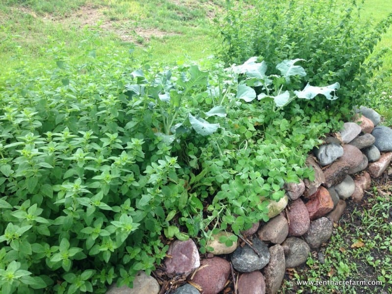 6 Ways to Build a Composting System