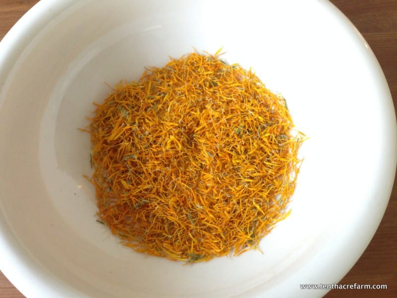 How to make Healing Calendula Oil dried calendula petals