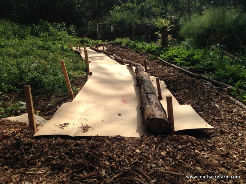 Here's a Quick Way to Terrace a Hill: Are you challenged with sloping land? Here's a solution to stop erosion on a hillside and create an easily-navigable terrace garden. #gardening #terrace Logs are placed behind stakes in the first step of creating a terrace on a slope.