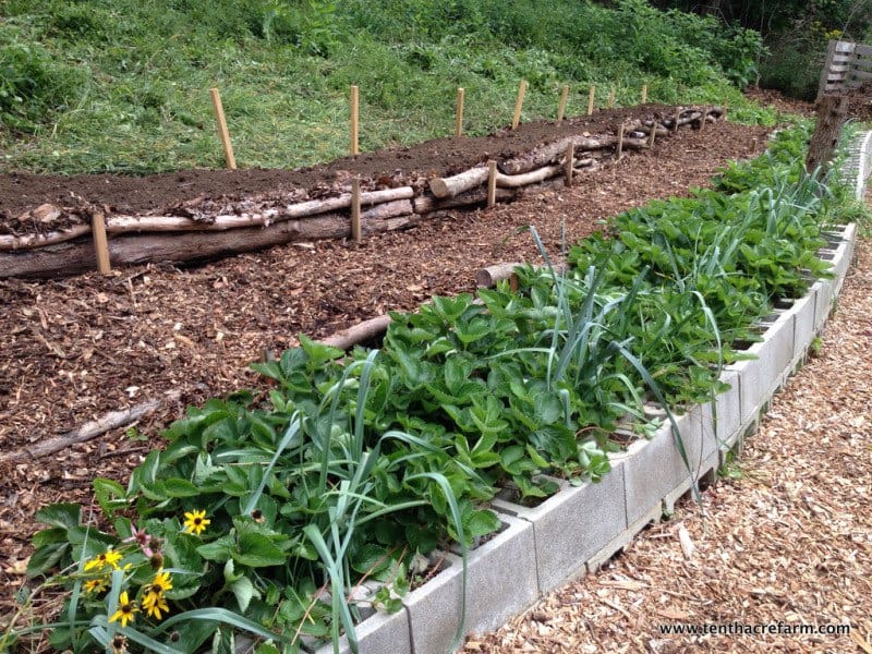 Here's a Quick Way to Terrace a Hill: Are you challenged with sloping land? Here's a solution to stop erosion on a hillside and create an easily-navigable terrace garden. #gardening #terrace Add soil on top of cardboard behind the check logs to create a planting surface on the terrace.