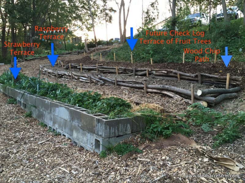 Here's a Quick Way to Terrace a Hill: Are you challenged with sloping land? Here's a solution to stop erosion on a hillside and create an easily-navigable terrace garden. #gardening #terrace This hillside includes six terraces total, three of them for planting, and three of them for pathways between the planting terraces.