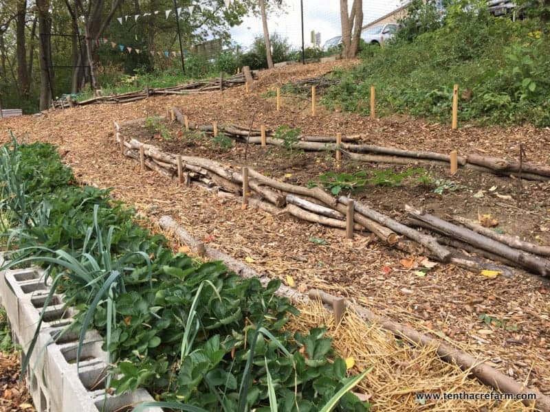 top 28 how to stop erosion on a sloped yard top 28 how to stop erosion on a sloped yard