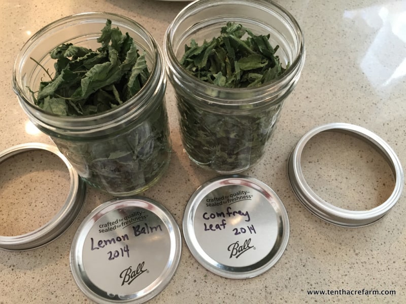 lemon balm, comfrey leaf