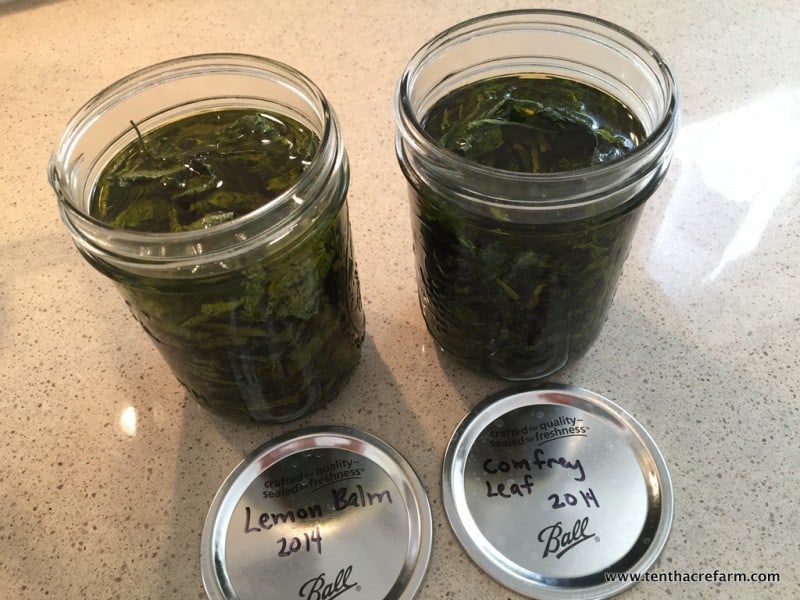 lemon balm, comfrey leaf