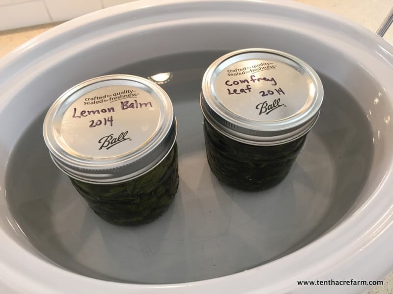 lemon balm, comfrey leaf