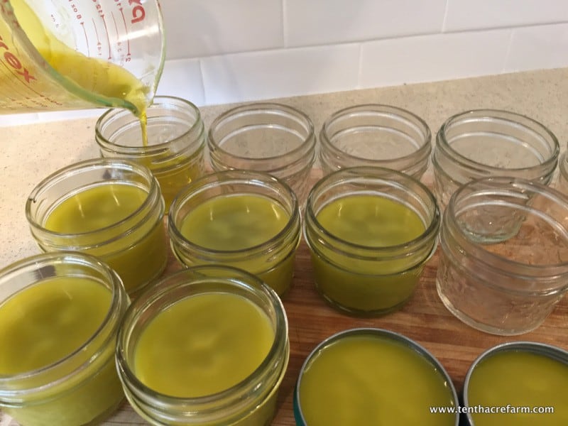 calendula and lemon balm salve