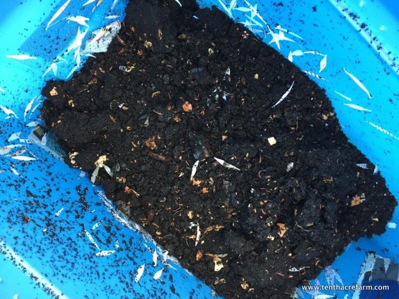 Worm Bin Composting