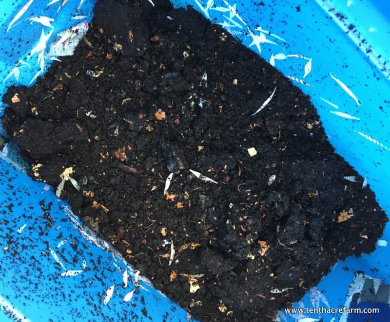 7 Ways to Improve Soil Quality | Tenth Acre Farm