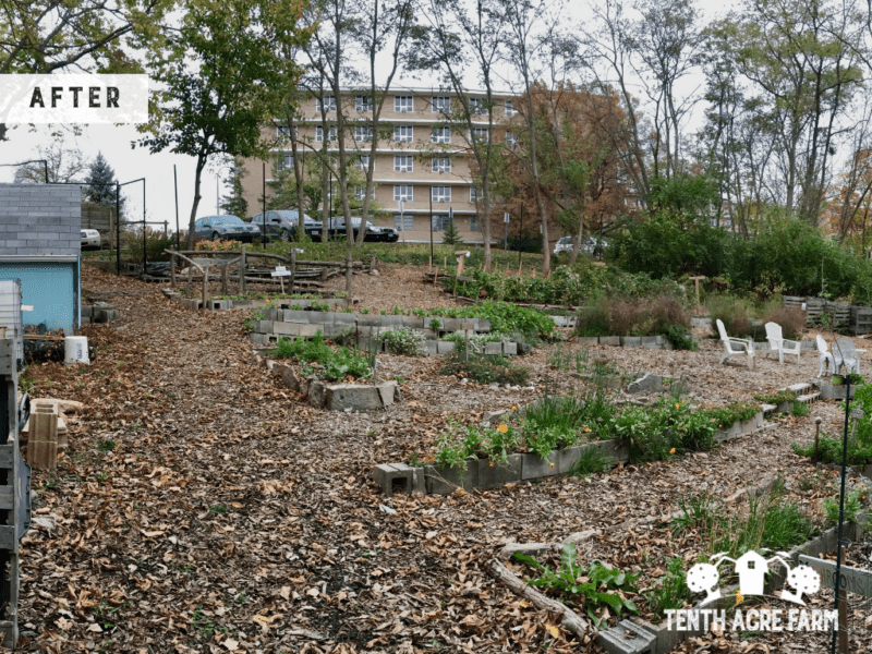 Hillside Community Garden developed