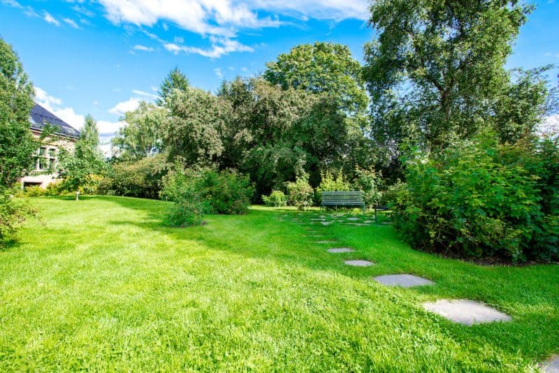 Viewing a grassy lawn from a bench