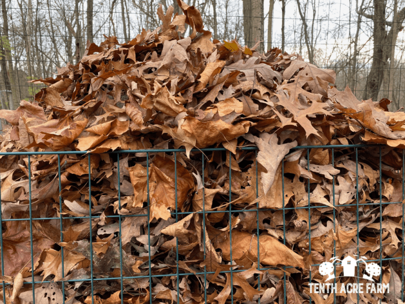 fall-leaf-compost-bin