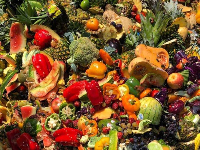 Food scraps for composting