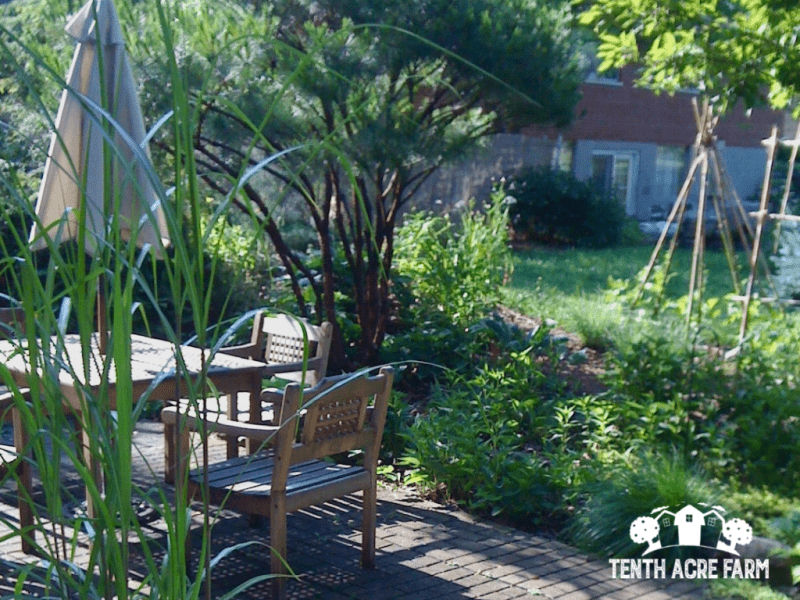 garden-observation-from-patio